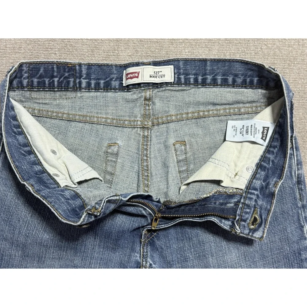 Levis levis 527
